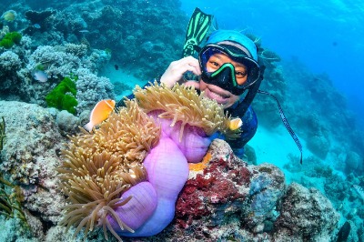 Great Barrier Reef Diving Tour from Cairns