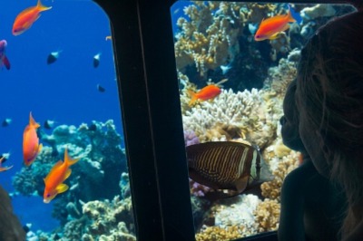 Semi-Submersible Great Barrier Reef Tour from Cairns