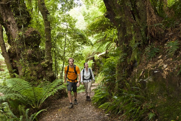 caminata bosque oatway hombre y mujer en caminata por bosque Oatway