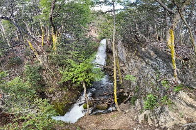 Cachoeira Velo de la Novia Ushuaia – Caminhada Guiada Fácil