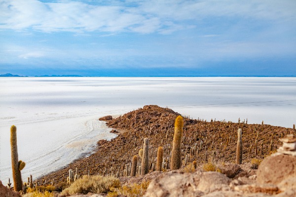 Viajera en la Isla Incahuasi Uyuni