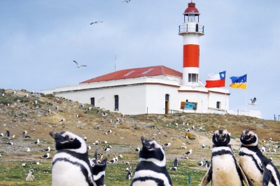 Excursion sur l'île de Magdalena + l'île de Marta