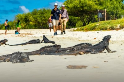 Tour de 4 dias nas Galápagos