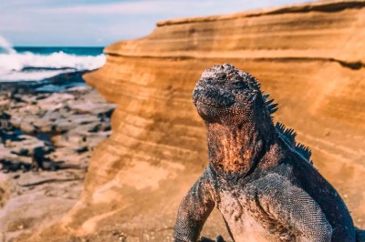 Tour a Galápagos 5 días 4 noches