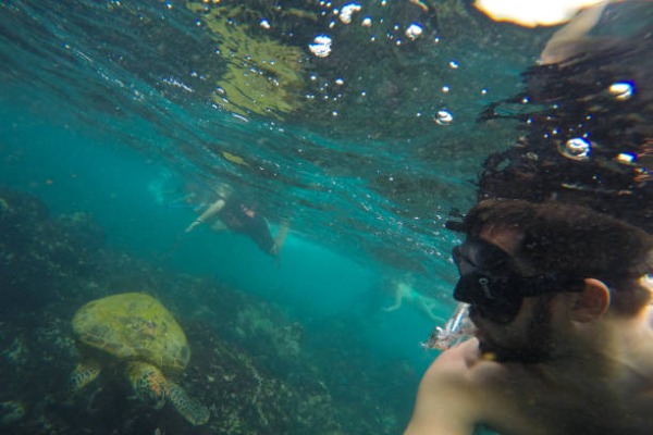 snorkle en galapagos chico haciendo snorkle en islas galapagos