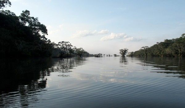 Rio Cuyabeno vistas del río Cuyabeno en el amazonas por la mañana