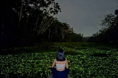 Tour Limoncocha y Cuyabeno 4 días - Amazonía Ecuador