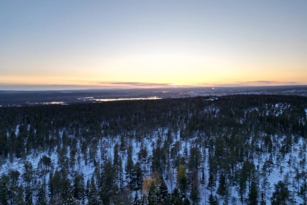 Panorámica desde el cielo de un bosque nevado al atardecer