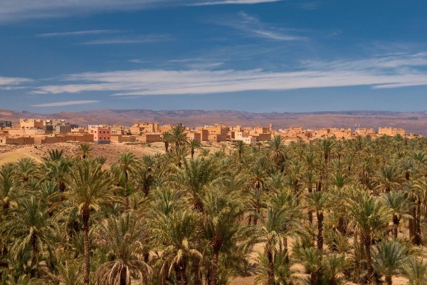 Valle del Draa Palmerales del Valle del Draa durante el regreso a Marrakech