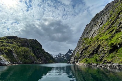 Lofoten Silent Trollfjord Cruise from Svolvær