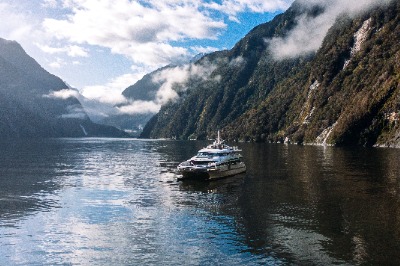 Crucero por Milford Sound con vuelo panorámico en avioneta