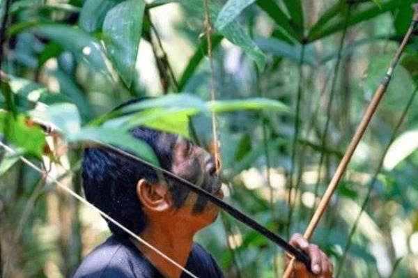 caminata botanica exploracion en la selva