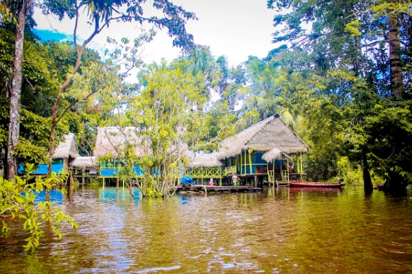 Lodge en medio de la selva Lodge sobre el río entre arboles en medio de la selva