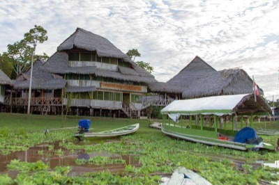 Descripcion de la imagen