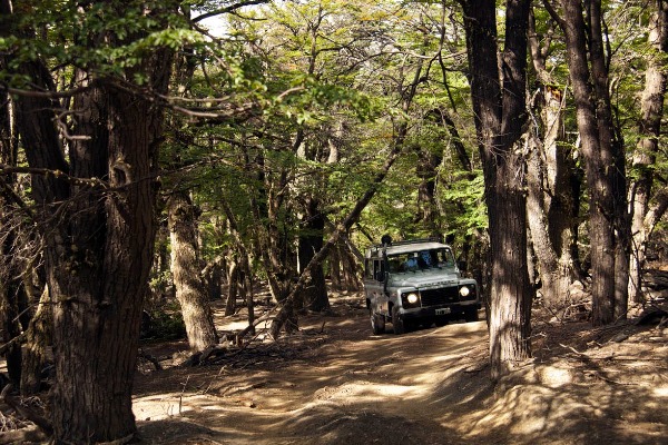 voiture dans la forêt de cerro frias