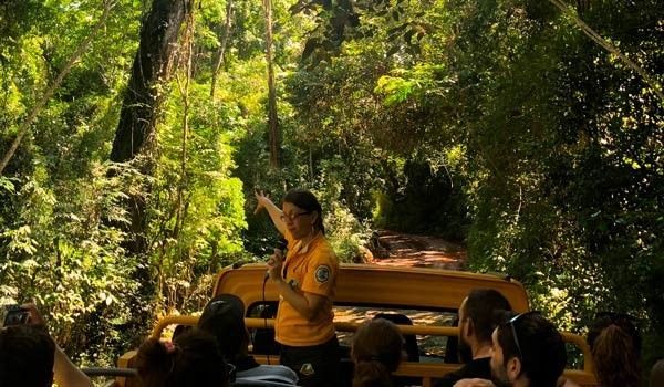 visite guide aux chutes iguazu en bus panoramique