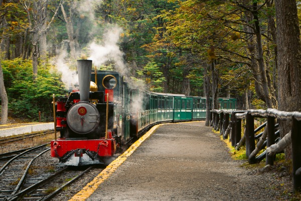 Train de la fin du monde arrivant au parc national de la Terre de Feu Locomotive à vapeur du Tren del Fin del Mundo entrant dans la gare entourée de forêt à Ushuaia.