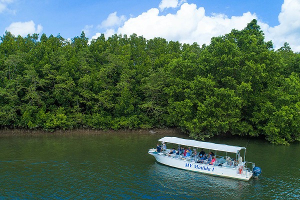croisière sur la rivière Daintree croisière sur la rivière Daintree