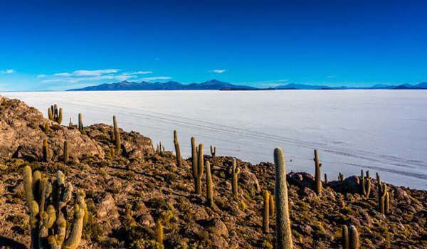 île d'Incahuasi île d'Incahuasi, salar d'Uyuni, Bolivie