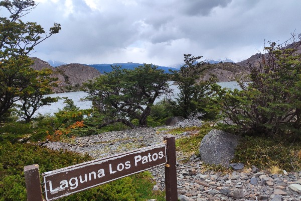 lagune de los patos lagune de los patos
