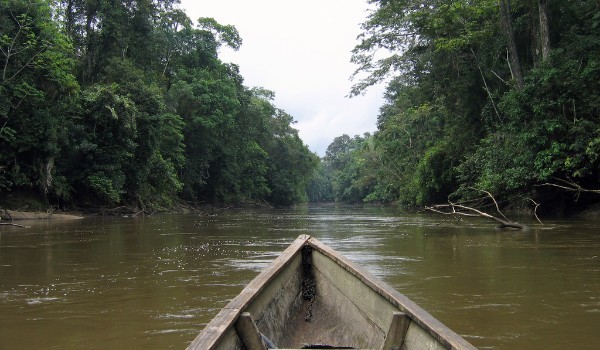 canoë sur la rivière Cuyabeno canoë en bois traversant la rivière Cuyabeno