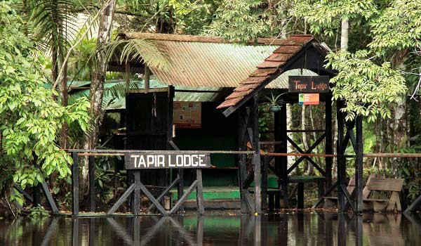 lodge Cuyabeno lodge en bois parmi les arbres dans la réserve de Cuyabeno