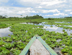 Excursion Iquitos Pérou