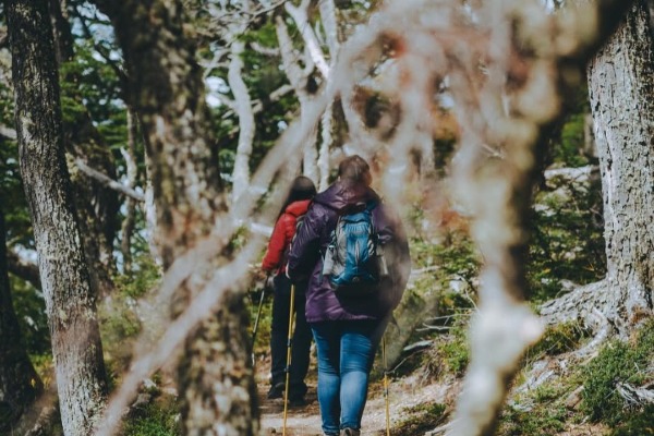 Passeggiata nella foresta due ragazze che camminano tra gli alberi