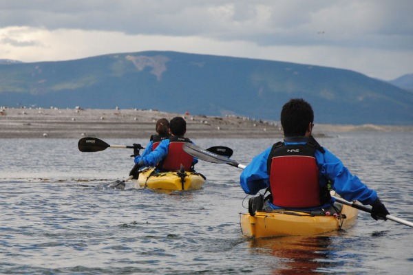 kayak due kayak con animali sullo sfondo