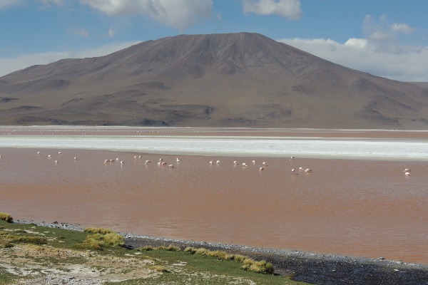 vista sulla laguna rossa di Uyuni