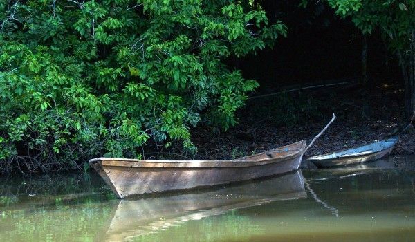 Canoa sul fiume Cuyabeno Grande canoa di legno accanto a una più piccola, pronte per entrare nel fiume Cuyabeno