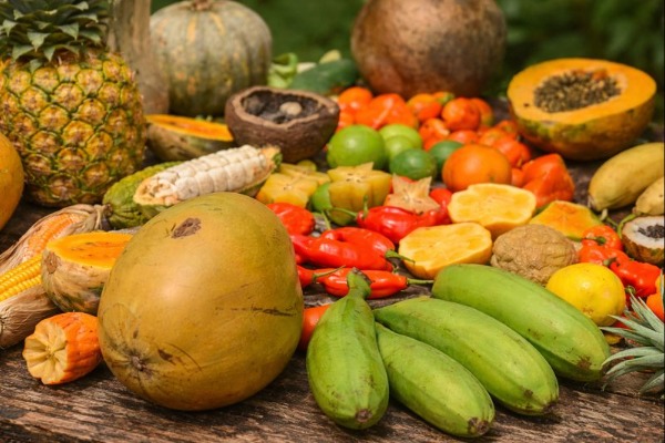 Varietà di frutta e prodotti tropicali dalla fattoria biologica amazzonica di Tambopata