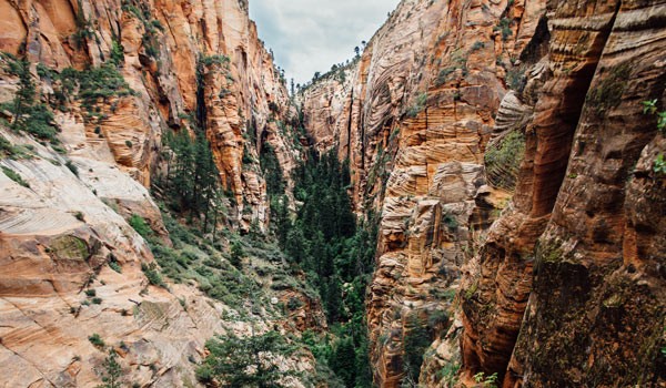 visita al parco nazionale di zion