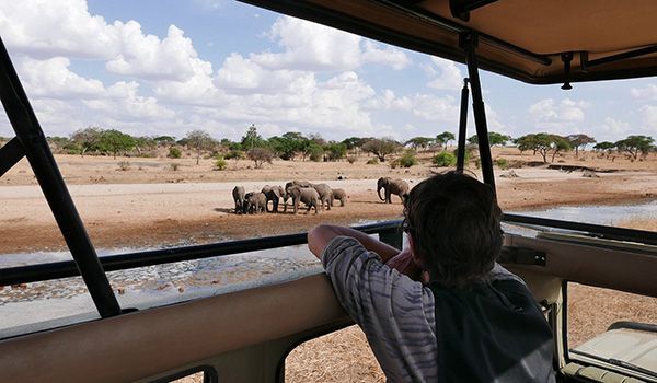 Safari nel cratere di Ngorongoro